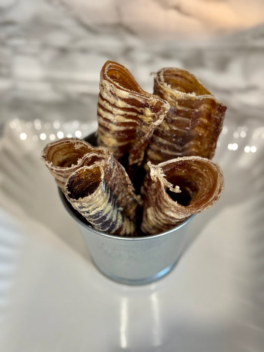 6" Beef Trachea